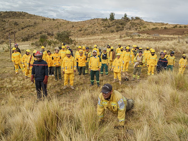 Ladera Sur: Restauración forestal frente a la amenaza del fuego