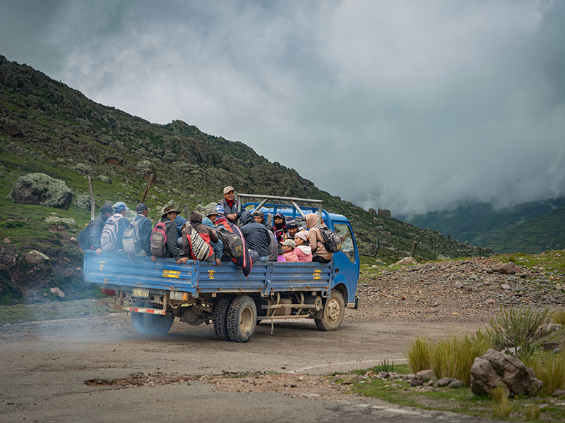 Chincha: La siembra que devuelve la esperanza a las alturas de Arma